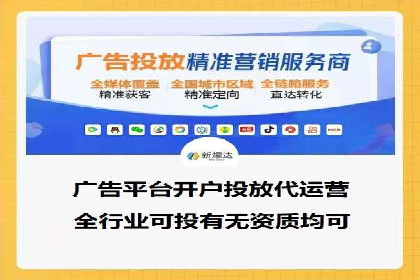 谷歌竞价广告与SEO结合的营销案例解析